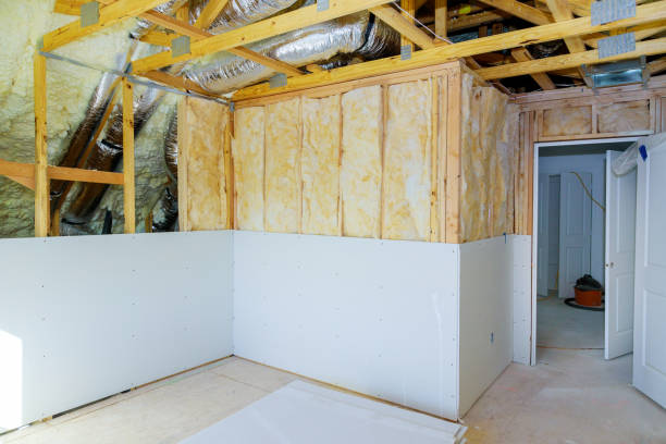 Best Geographic-Specific Insulation Services in Goldsboro, NC