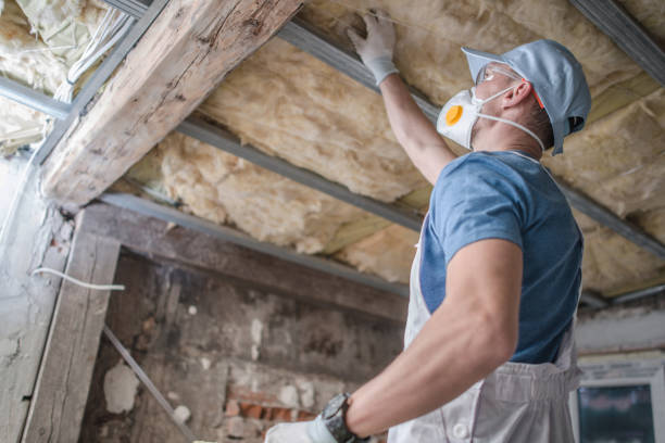 Best Cellulose Insulation in Goldsboro, NC