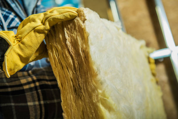 Best Specialized Insulation Services in Goldsboro, NC