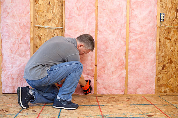 Best DIY Insulation Kits and Guidance in Goldsboro, NC